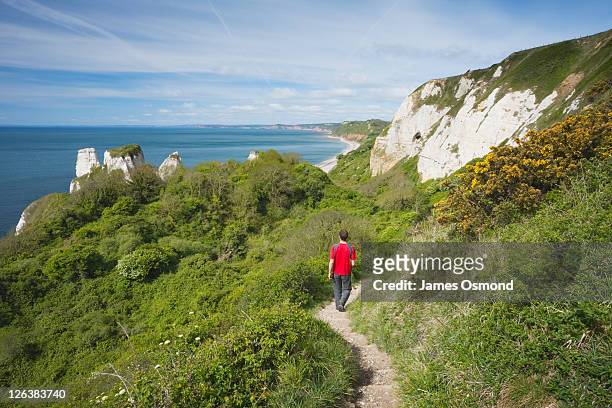caucasian male walker (29 years old) on the south west coast path at hooken cliff heading towards branscombe. devon. england. uk. - south west coast path fotografías e imágenes de stock
