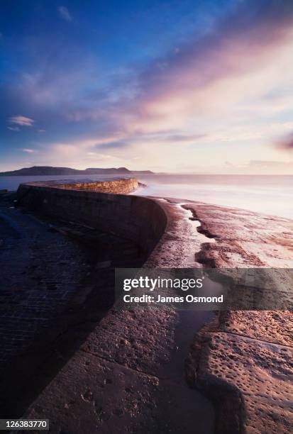 the cobb at sunrise. lyme regis. dorset. england. uk. - lyme regis photos et images de collection