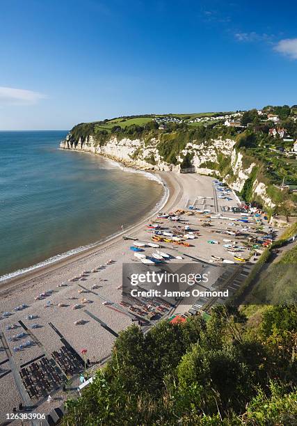 600 Beer Devon Stock Photos, High-Res Pictures, and Images - Getty Images
