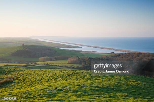 view towards chesil beach from abbotsbury hill with st catherine's chapel in the middle distance. dorset, england, uk. - praia de chesil imagens e fotografias de stock