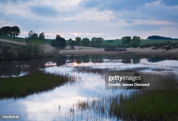 Priddy Postcode 14 Priddy Pools Stock Photos, High-Res Pictures, and Images - Getty Images