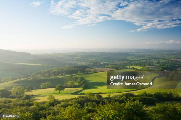 the marshwood vale from pilsdon pen. dorset. england. uk. - english fotografías e imágenes de stock