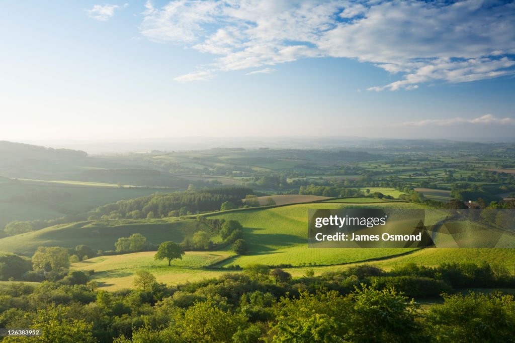 The Marshwood Vale from Pilsdon Pen. Dorset. England. UK.
