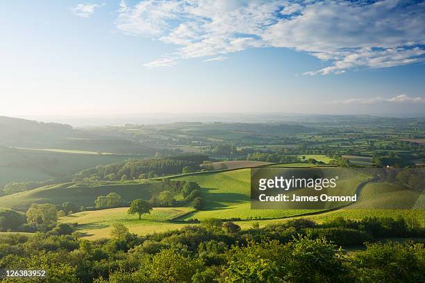 the marshwood vale from pilsdon pen. dorset. england. uk. - british culture stock pictures, royalty-free photos & images