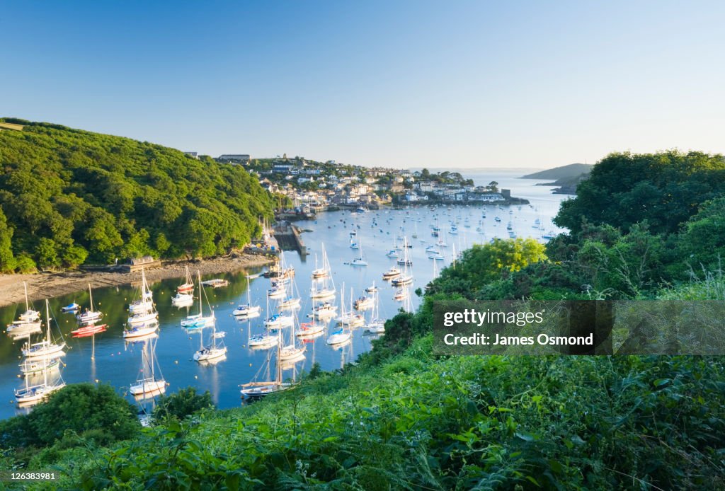 Boats moored on Pont Pill with Polruan and the River Fowey in the Distance, seen from the Hall Walk. Cornwall. England. UK.