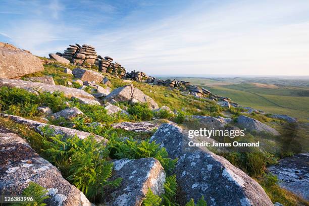 granite rock formations on the summit of rough tor, bodmin moor. cornwall. england. uk. - bodmin photos et images de collection