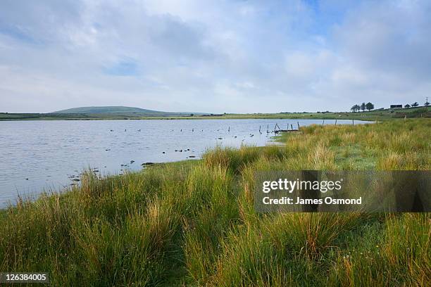 dozmary pool on bodmin moor, site of the legend of king arthur and excaliber. cornwall. england. uk. - bodmin moor stock pictures, royalty-free photos & images