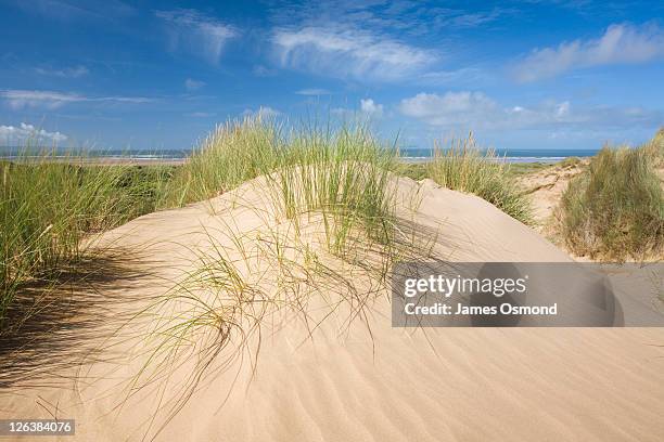 sand dunes at braunton burrows. devon. england. uk. - sand dune stock pictures, royalty-free photos & images