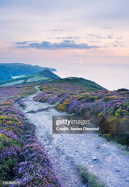 the south west coast path descending great hangman towards little hangman and combe martin bay. exmoor national park. devon. england. uk. - south west coast path fotografías e imágenes de stock