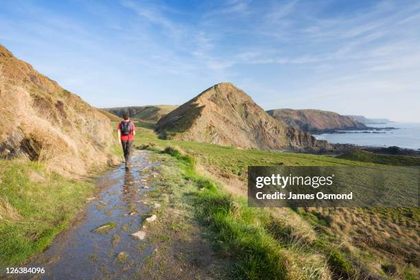 caucasian male walker (30 years old) approaching st catherine's tor near hartland quay on the south west coast path. devon. england. uk. - south west coast path stock-fotos und bilder