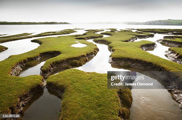tidal marsh at the skern at high tide. northam burrows country park. devon. england. uk. - salt marsh stock pictures, royalty-free photos & images