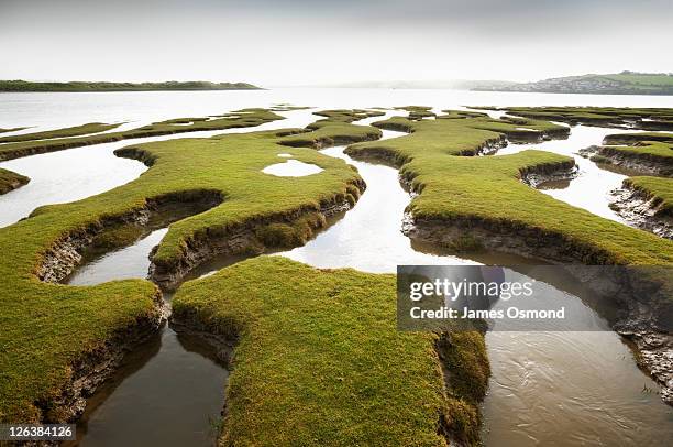 tidal marsh at the skern at high tide. northam burrows country park. devon. england. uk. - tidal marsh stock pictures, royalty-free photos & images