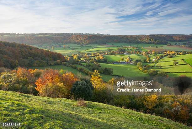 autumn countryside from uley bury. the cotswolds. gloucestershire. england. uk. - gloucestershire stock pictures, royalty-free photos & images