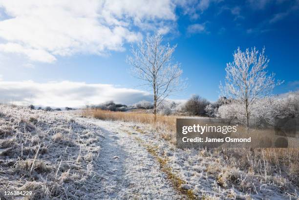 west mendip way near cheddar gorge in winter. somerset. england. uk. - sunny winter stock pictures, royalty-free photos & images