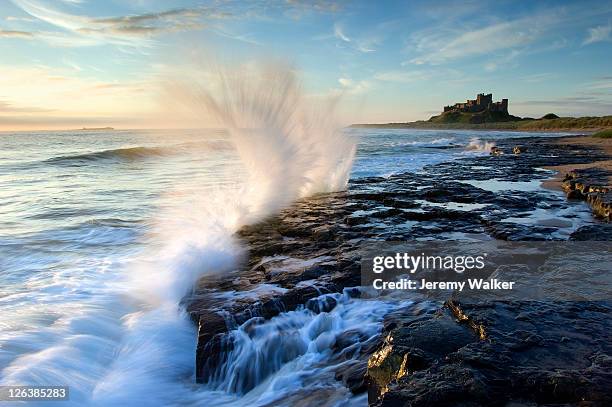 dawn light with waves breaking on the rugged coastline looking towards bamburgh castle in northumberland. bamburgh castle is one of england's most famous castles. built on a basalt outcrop above majestic sand dunes, its ramparts tower over the shifting hue - bamburgh castle stock pictures, royalty-free photos & images