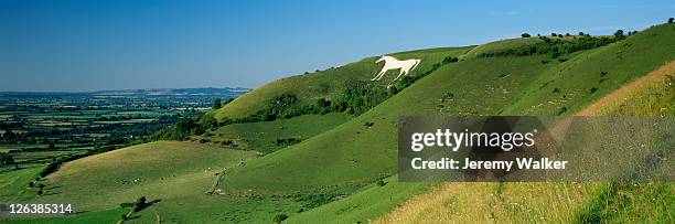 view of the westbury white horse and the pewsey vale in the wiltshire countryside - kreidefelsen stock-fotos und bilder