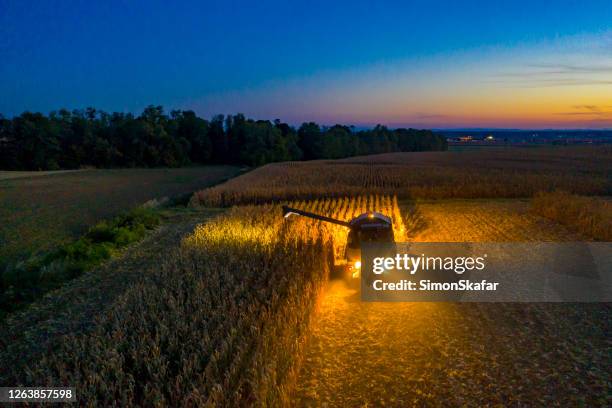 luchtfoto: combineer oogstmachine op het werk in de schemering - corn harvest stockfoto's en -beelden