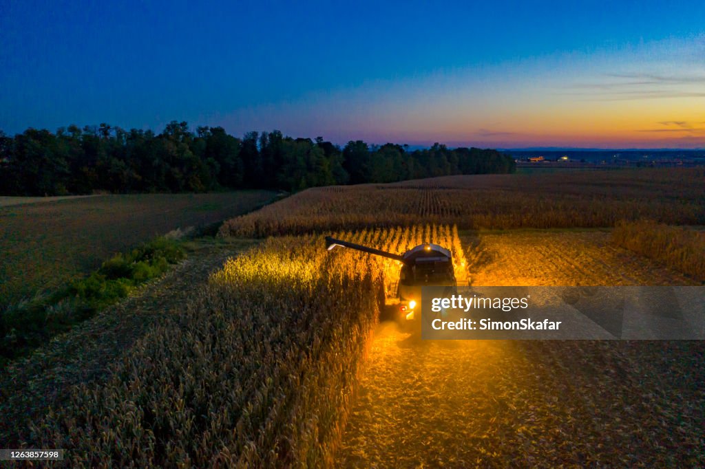 Aerial view: Combine harvester at work at dusk