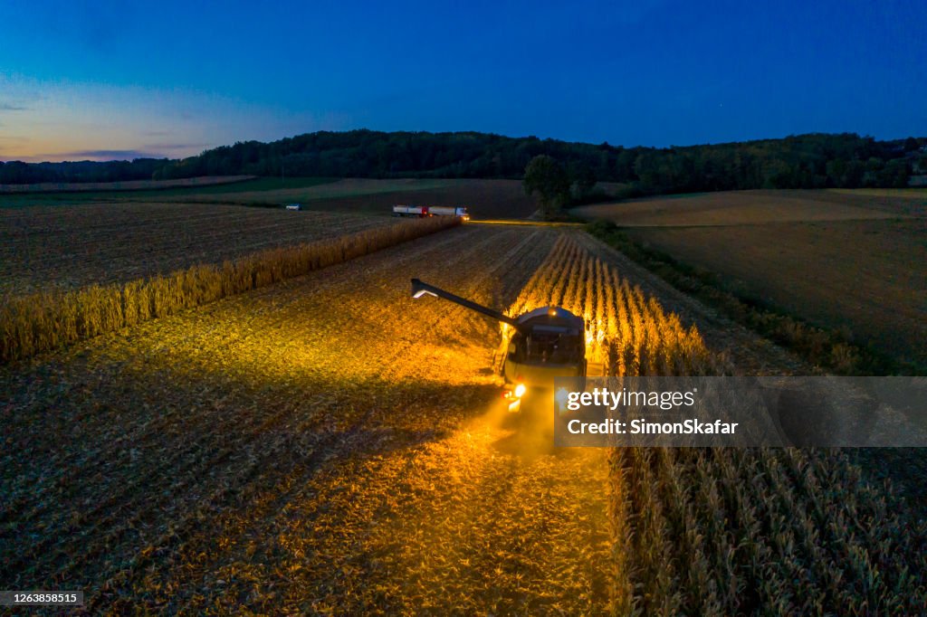 Aerial view: Combine harvester at work at dusk