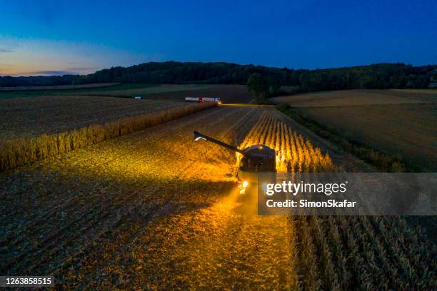 aerial view: combine harvester at work at dusk - harvesting corn stock pictures, royalty-free photos & images