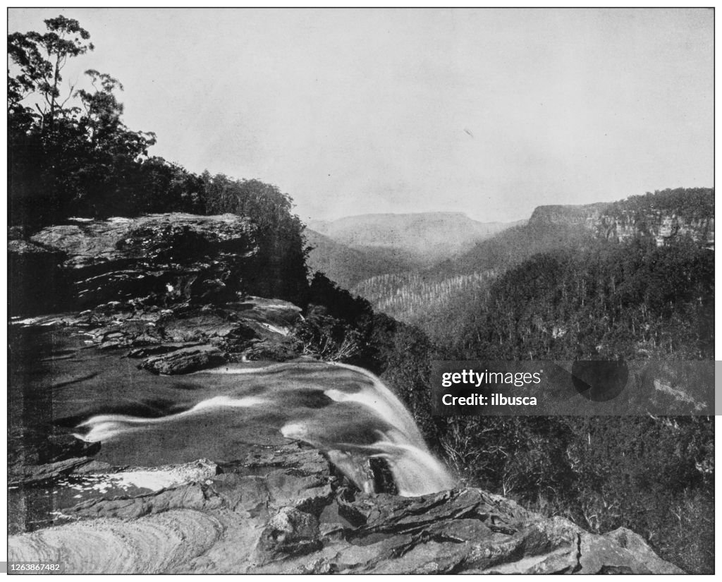 Antique black and white photograph: Fitzroy Waterfalls, Australia