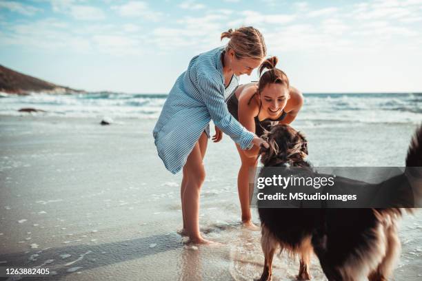 due giovani donne che giocano con il cane - canine foto e immagini stock