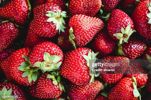 很多成熟的草莓作為背景。 - strawberry 個照片及圖片檔
