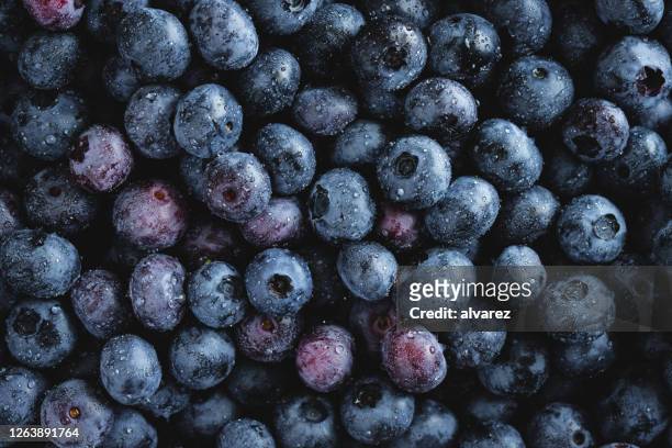 voller rahmen mit frischen heidelbeeren - blueberries stock-fotos und bilder