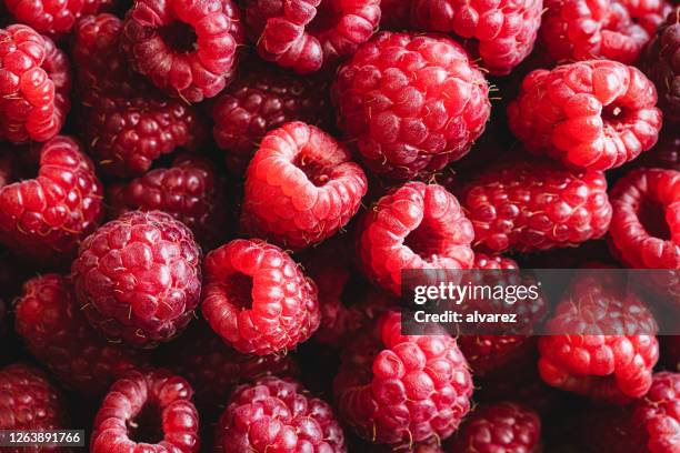 sammlung frischer roter himbeeren - beeren stock-fotos und bilder