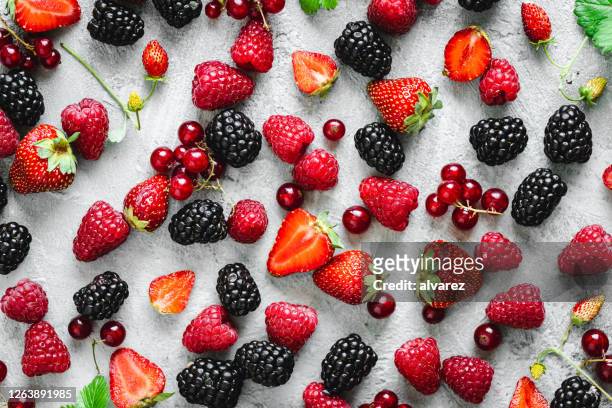 vielfalt der tropischen früchte flay lag auf weißem hintergrund - berries white background stock-fotos und bilder