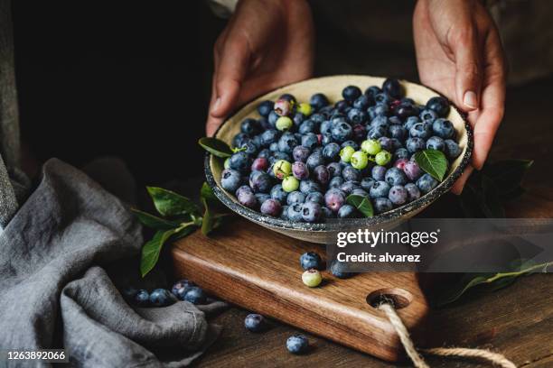 kvinna med en skål med nyplockade blåbär - blåbär bildbanksfoton och bilder