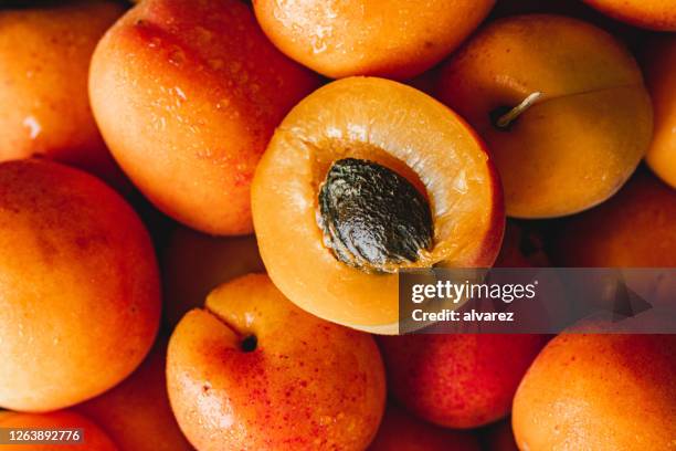 nahaufnahme von reifen aprikosen - pflanzensamen stock-fotos und bilder