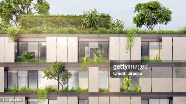 groen gebouw - weelderige plantengroei stockfoto's en -beelden