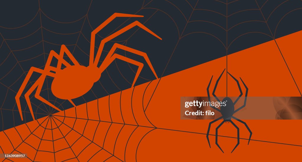 Halloween Spiders