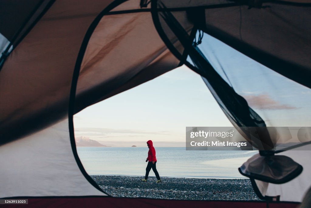 View through doorway of camping tent of woman walking on beach, Muir Inlet in distance, Glacier Bay National Park, Alaska