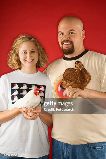 caucasian mid-adult man and woman holding chickens. - golden wyandottes stock pictures, royalty-free photos & images