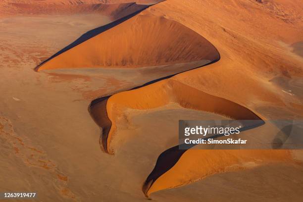 desert landscape with sand dunes, deadvlei, namibia, africa - namib desert stock pictures, royalty-free photos & images