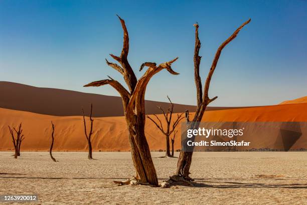 scenic desert landscape - namib desert stock pictures, royalty-free photos & images
