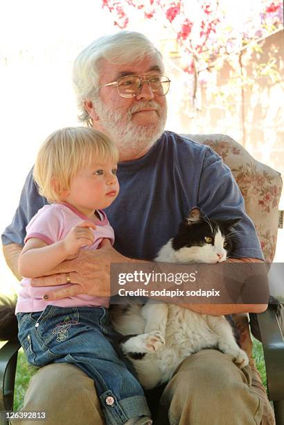 - - op schoot stockfoto's en -beelden