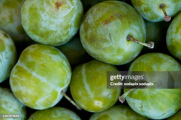 High-Res Stock Photo