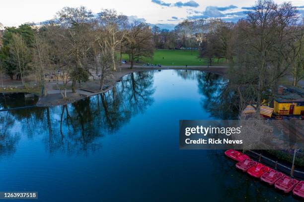 aerial view from german park at sunset - alemanha stock pictures, royalty-free photos & images