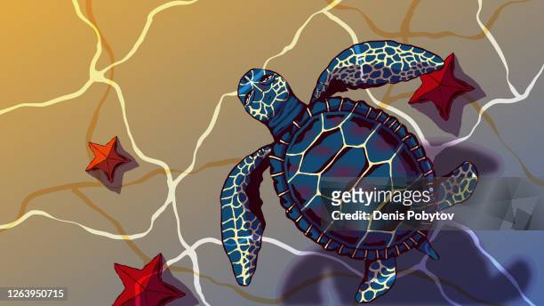 ilustrações, clipart, desenhos animados e ícones de ilustração desenhada à mão do fundo do mar - tartaruga marinha e estrela-do-mar na água. - tartaruga marinha