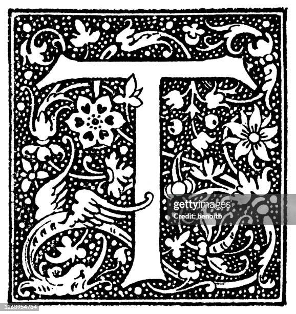 stockillustraties, clipart, cartoons en iconen met historiated eerste letter t - at t