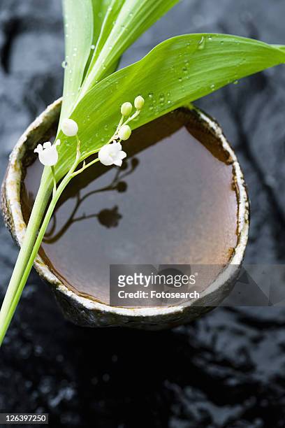 lily of the valley - lily of the valley stock-fotos und bilder