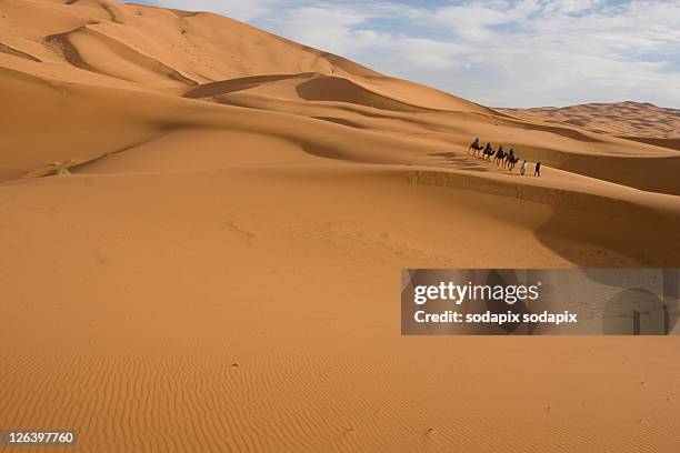 High-Res Stock Photo