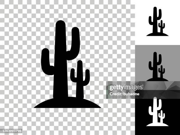 ilustrações de stock, clip art, desenhos animados e ícones de cactus icon on checkerboard transparent background - cato