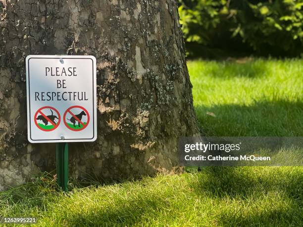 please curb your dog: no dogs allowed yard sign - pissing stock pictures, royalty-free photos & images