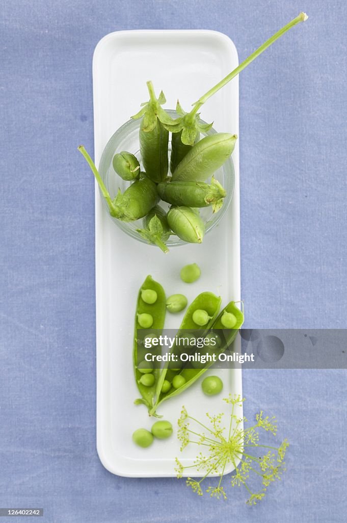 High angle view of pea pods and pea on tray