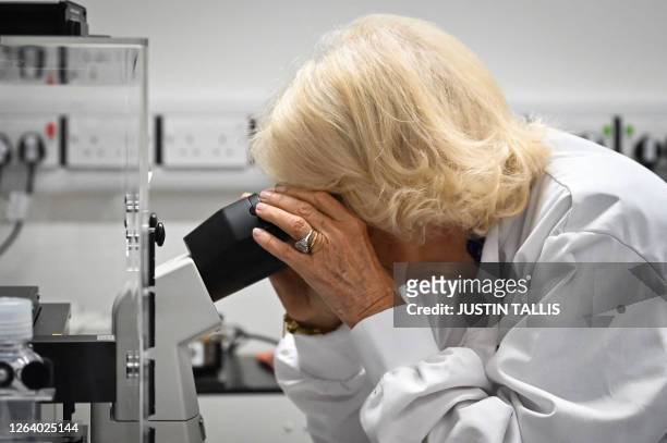Britain's Queen Camilla looks into a microscope as she visits a laboratory that specialises in developing new approaches to study multiple autoimmune...