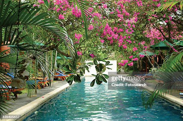 flower, water, indonesia, tranquil scene, swimming pool, architecture - bali spa stock pictures, royalty-free photos & images